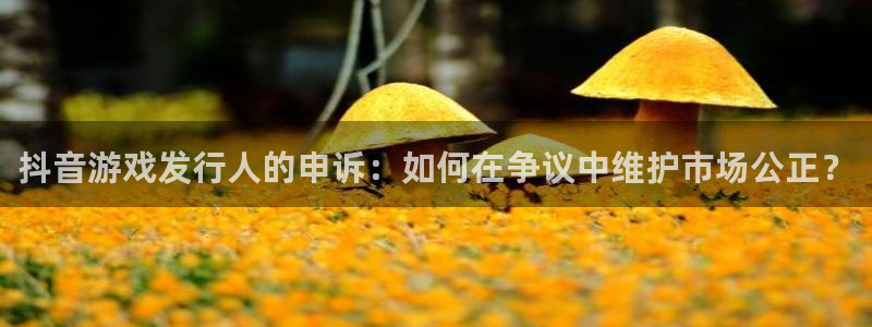 亿万28庄园：抖音游戏发行人的申诉：如何在争议中维护市场公正？