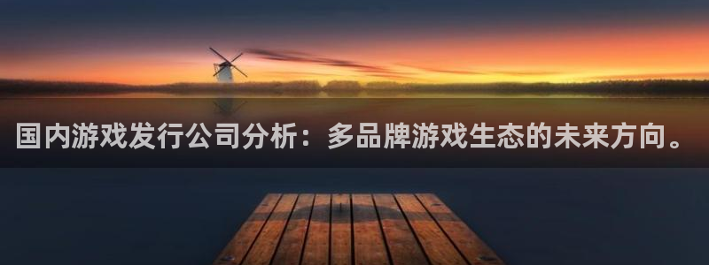 亿万28官网注册方法有哪些：国内游戏发行公司分析：多品牌游戏生态的未来方向。