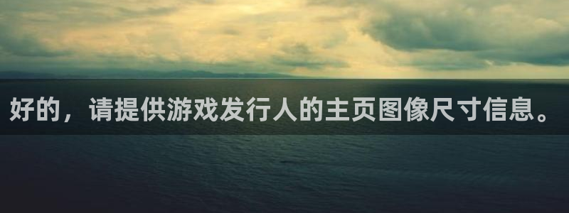 亿万28gs：好的，请提供游戏发行人的主页图像尺寸信息。