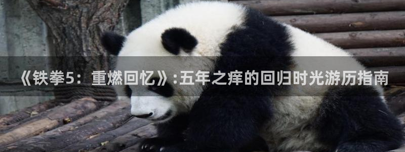 亿万28平台登录入口官网：《铁拳5：重燃回忆》:五年之痒的回归时光游历指南