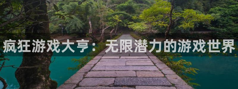 亿万28官网平台合法吗：疯狂游戏大亨：无限潜力的游戏世界