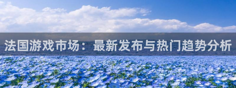 亿万28子文化是干嘛的：法国游戏市场：最新发布与热门趋势分析