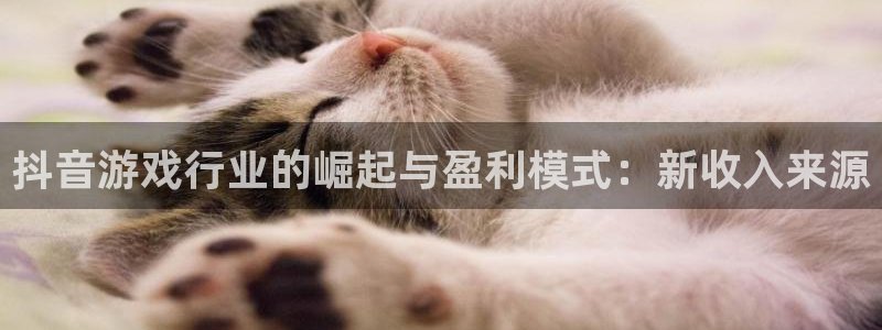 亿万28官网客服招聘：抖音游戏行业的崛起与盈利模式：新收入来源