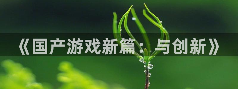 亿万28电商怎么样：《国产游戏新篇：与创新》