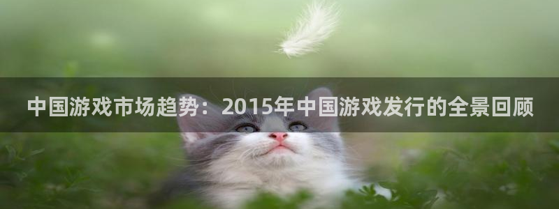 亿万28官网客服：中国游戏市场趋势：2015年中国游戏发行的全景回顾