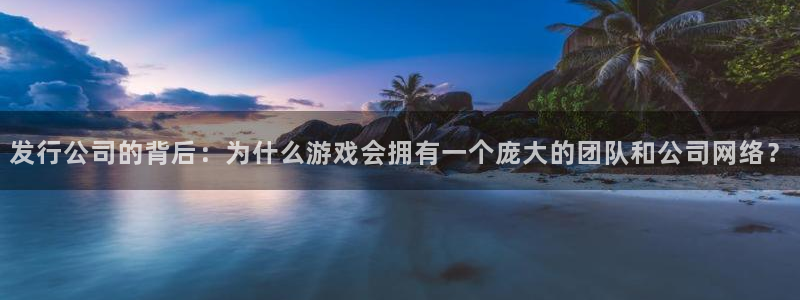 亿万28啤酒怎么样：发行公司的背后：为什么游戏会拥有一个庞大的团队和公司网络？