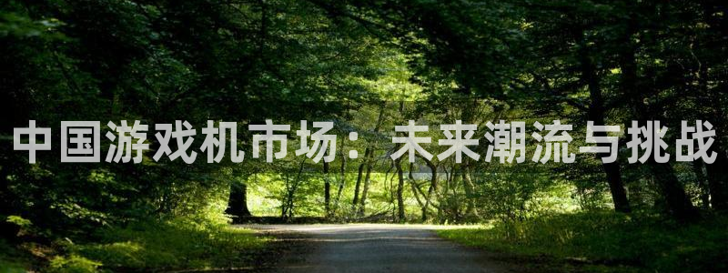 亿万28品牌：中国游戏机市场：未来潮流与挑战