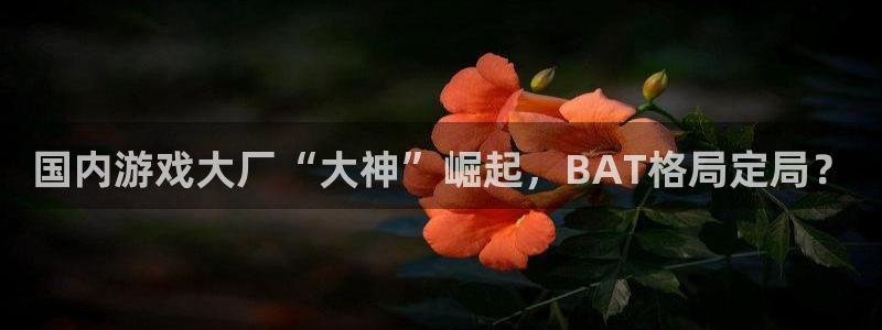 亿万28官网平台是骗局吗
