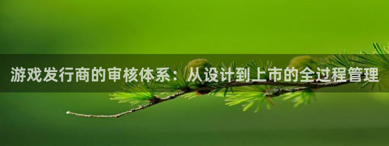 亿万28官网的奇趣腾讯是真的吗吗：游戏发行商的审核体系：从设计到上市的全过程管理
