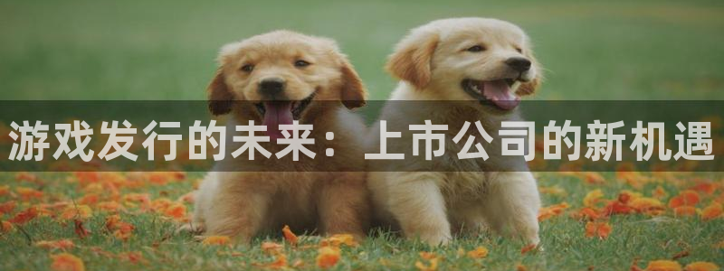 亿万28官网游戏平台高奖金玩法