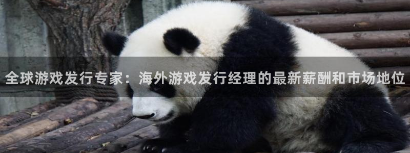 我要看亿万28：全球游戏发行专家：海外游戏发行经理的最新薪酬和市场地位