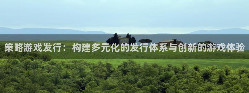 亿万28官网是境外的吗：策略游戏发行：构建多元化的发行体系与创新的游戏体验