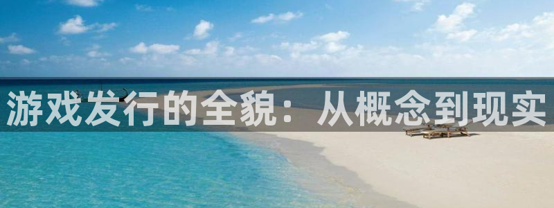 亿万28官网怎么注册账号：游戏发行的全貌：从概念到现实