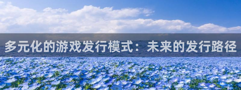 长沙亿万28子电子商务有限公司：多元化的游戏发行模式：未来的发行路径